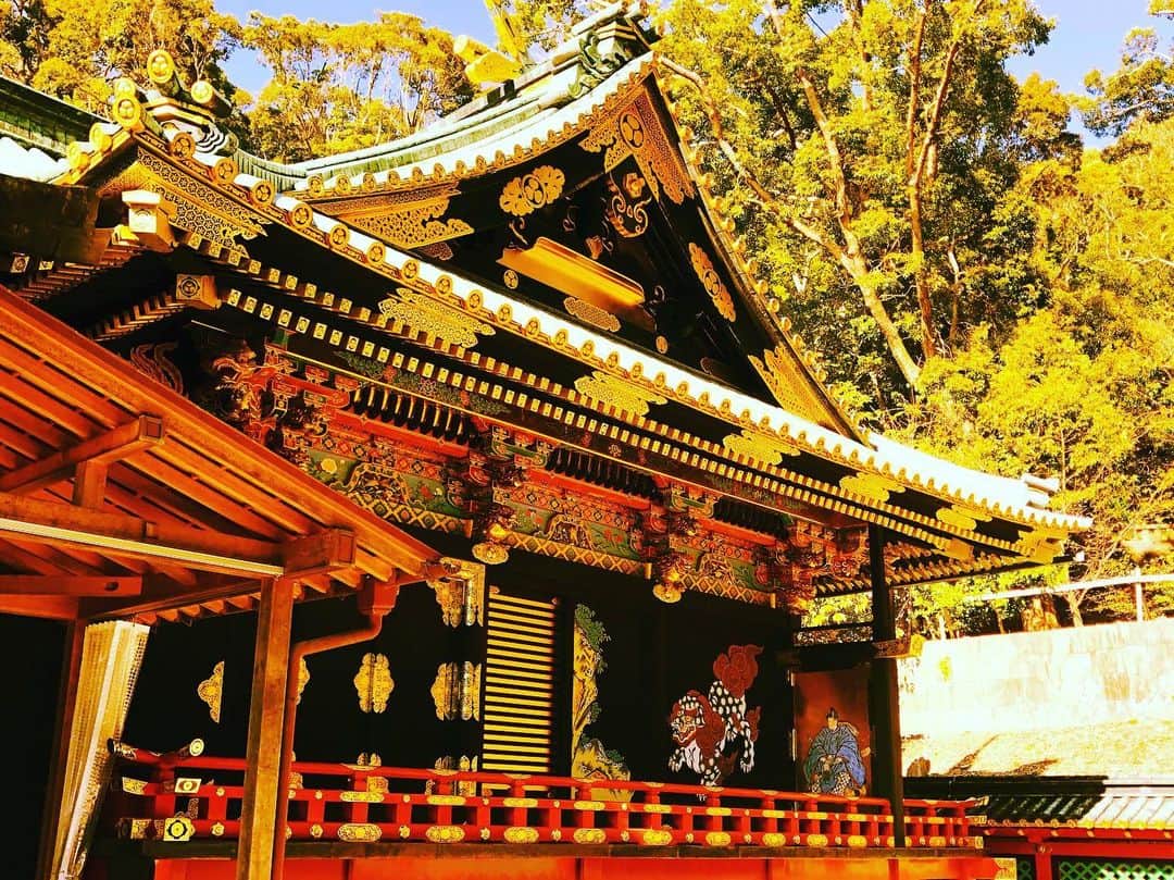 日出郎のグルメインスタ