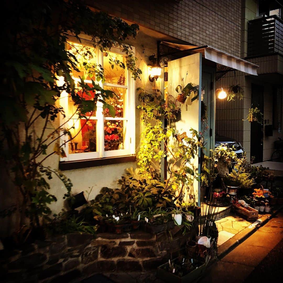 JILLさんのインスタグラム写真 - (JILLInstagram)「銀座から池ノ上に。  SAICOさんの素敵なお花屋さん、アナスタシアに、突撃やっほう❣️ 欲しかったランプは、只今制作中ということで。予約して。  でも、ほんと、らSAICOさんに会えてよかった❣️ で、その後は下北沢へ。  ご縁あって、最終的には麗しのバー、LADY JANEへ。  かつて、役者魂をぶつけ合う俳優が居た場所。  その息吹を感じながらのひととき。  松田優作さん 原田芳雄さん 桑名正博さん 内田裕也さん  たくさんの監督と俳優が行きかった場所。  私も若輩ながら垣間見た世界。  優作さんは言ってくれた。 25歳のアクシデントに見舞われた私に、周りは全てNGの世界で、唯一、これを乗り越えたら、この娘はスゴイものになるよ。と、言ってくれた言葉。  人は、言霊を信じられる。  やれるんだ‼️ この言葉がとれだけ、私を支えてきたか... 今夜は、  あぁ、確かに、かつてここに居たクリエイティブな人たちが、息をしていた空間で、一瞬でも、私に向けてくれた優作さんの言葉を思い出しながら、超美味なバーボンを頂きました🙏  #20191121 #下北沢レディジェーン #ginzsix ##ginzatakasakimonogatari #jazzcircuitグッズ #PERSONZ2020ツアーもうすぐ告知 #レコーディング #radiotakasaki  #1205名古屋bluenote #1206大阪billboard #詳細はオフィシャルサイトpersonznet #personz  #jillpersonz @jillpersonz」11月22日 0時07分 - jillpersonz