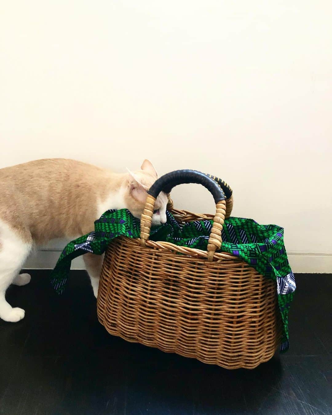 山本浩未のインスタグラム
