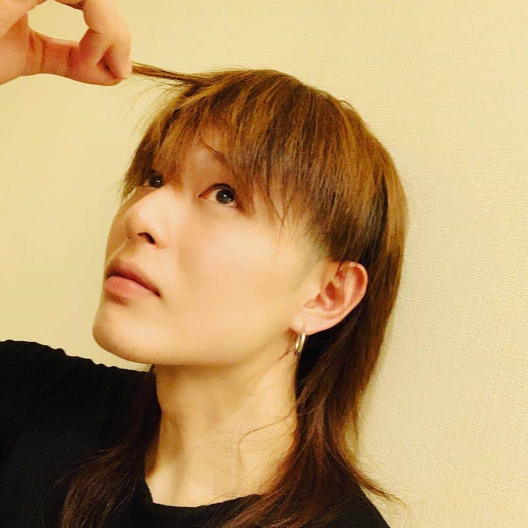 荒木宏文さんのインスタグラム写真 - (荒木宏文Instagram)「改良されたウィッグに合わせて中の髪型も改良✂︎」11月22日 1時47分 - araki_hiro0614