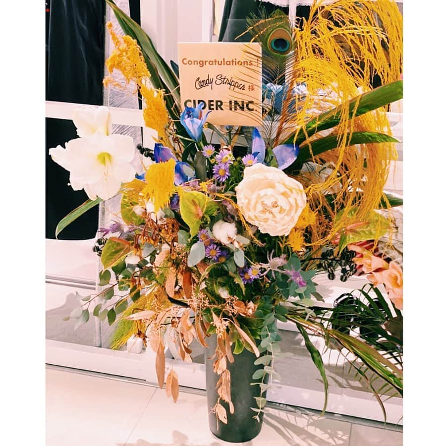 板橋よしえさんのインスタグラム写真 - (板橋よしえInstagram)「たくさんのお祝いのお花💐 とってもとってもうれしい～～～～～～🥺😭🥺😭 こんなにたくさん頂けるとは･･･ありがたいなあ😢 はああ、幸せ。 みなさま、本当にありがとうございます🙏✨ #candystripper #渋谷PARCO #渋谷パルコ #秋元梢 #萬波ユカ #IVAN #坂本翔子 #野川茜衣 #杉本美奈子 #優香 #浜口京子 #しずちゃん #南海キャンディーズ #近藤春菜 #ハリセンボン #福岡晃子 #lisa #puffy #白石みき #大島美幸 #森三中 #scandal #glay #ciderinc」11月22日 13時15分 - candy_yoshie