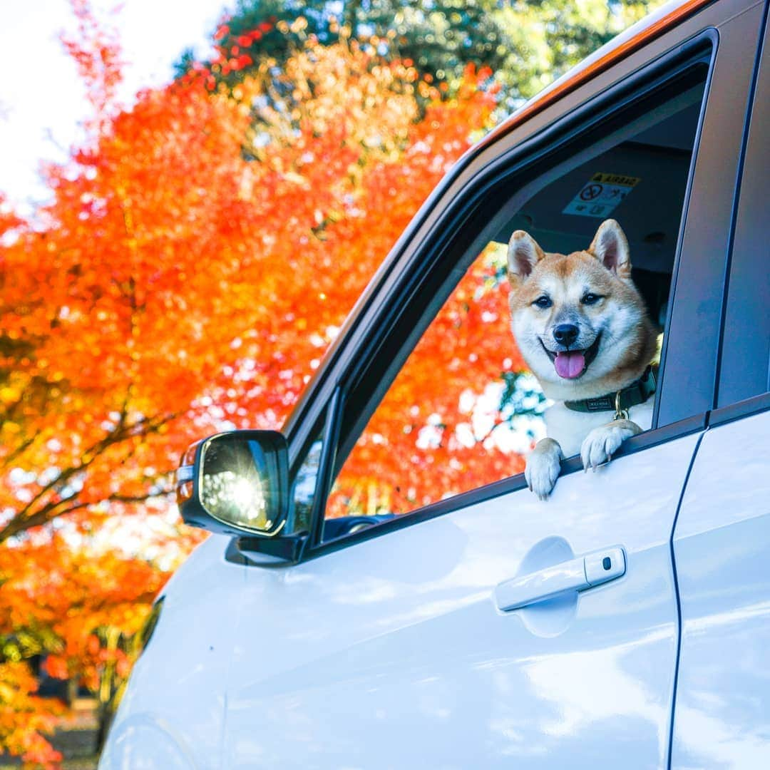 日産自動車のインスタグラム