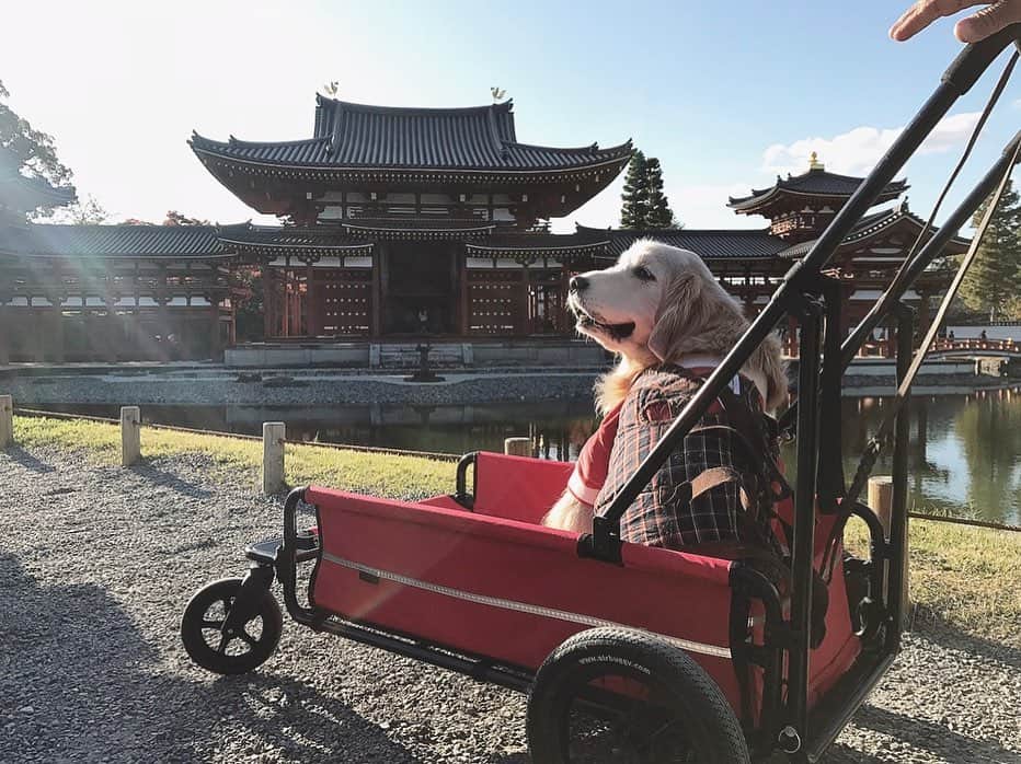 kei515yuのインスタグラム