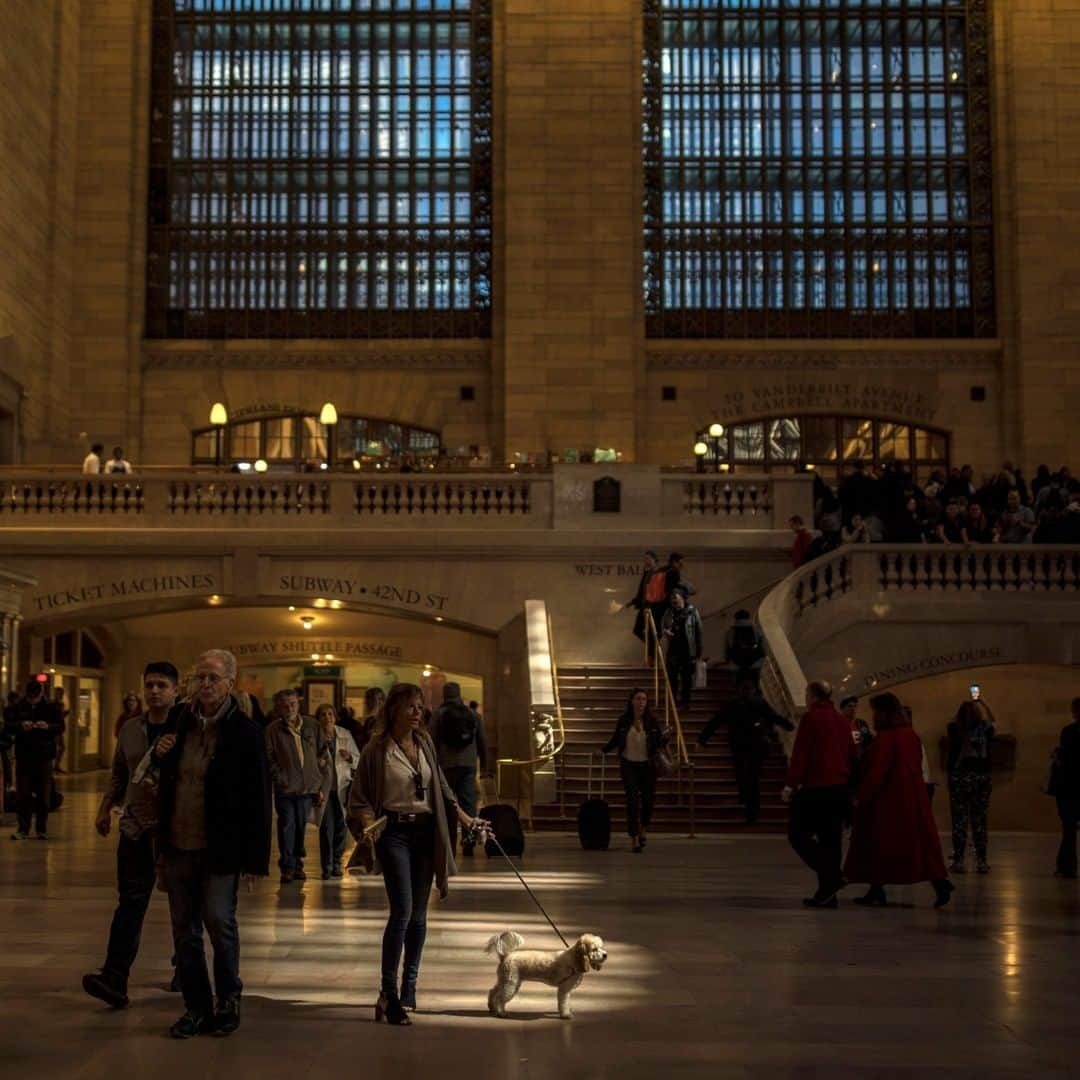 National Geographic Travelさんのインスタグラム写真 - (National Geographic TravelInstagram)「Photo by Muhammed Muheisen @mmuheisen | People bustle around the main concourse inside Grand Central Terminal in New York City. For more photos and videos from different parts of the world, follow me @mmuheisen and @mmuheisenpublic. #muhammedmuheisen #NewYork #NYC #GrandCentral」11月22日 14時09分 - natgeotravel