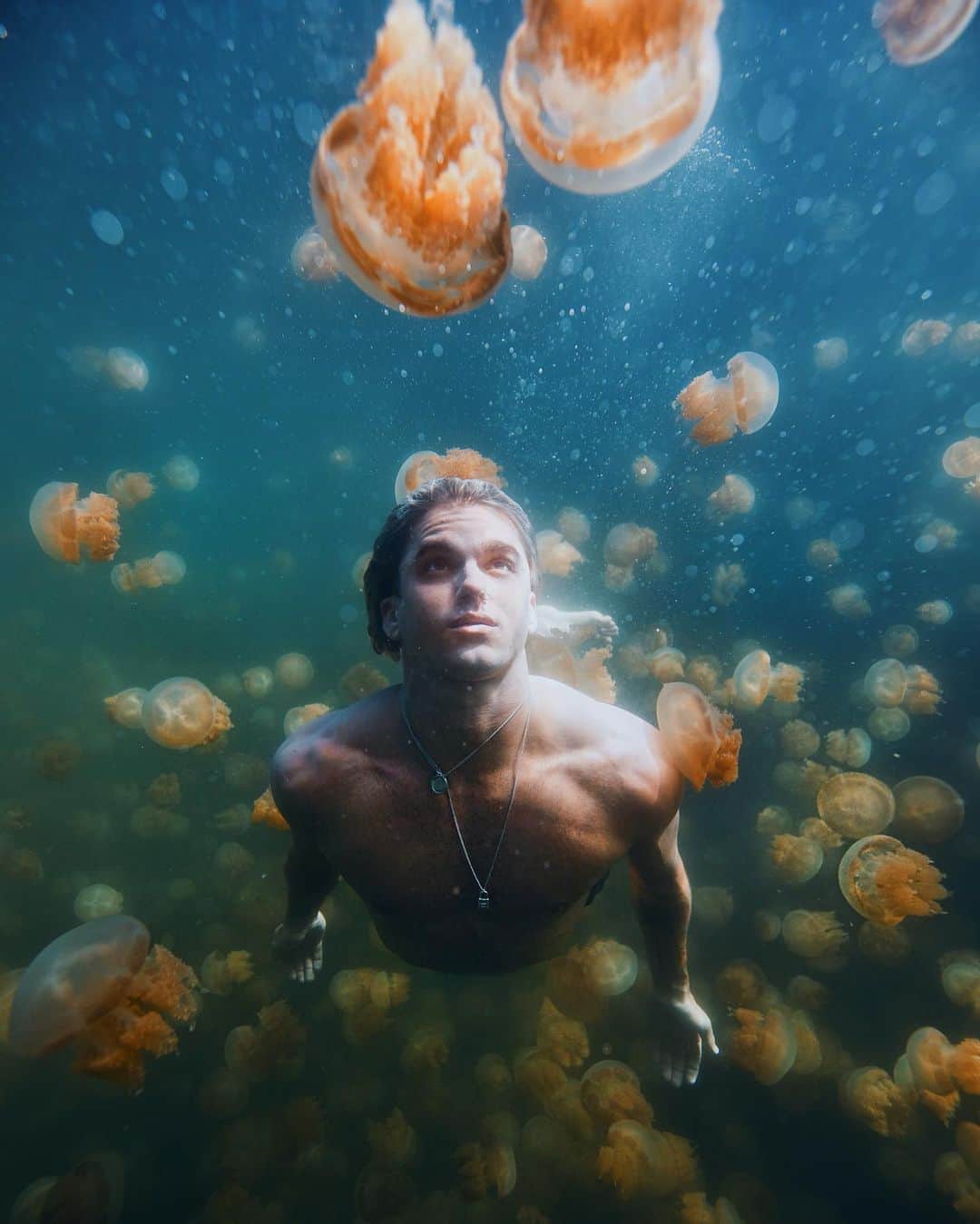 ジェイ・アルヴァリーズのインスタグラム：「I’ve done a lot of interesting things in my life but this was close to orgasmic swimming among 1000s of moon Jelly fish in a sulfuric lake on a small island in the pacific ocean.. Life is wild, Life is Alien, & we are so use to this world being casual but nothing is really casual at all..」