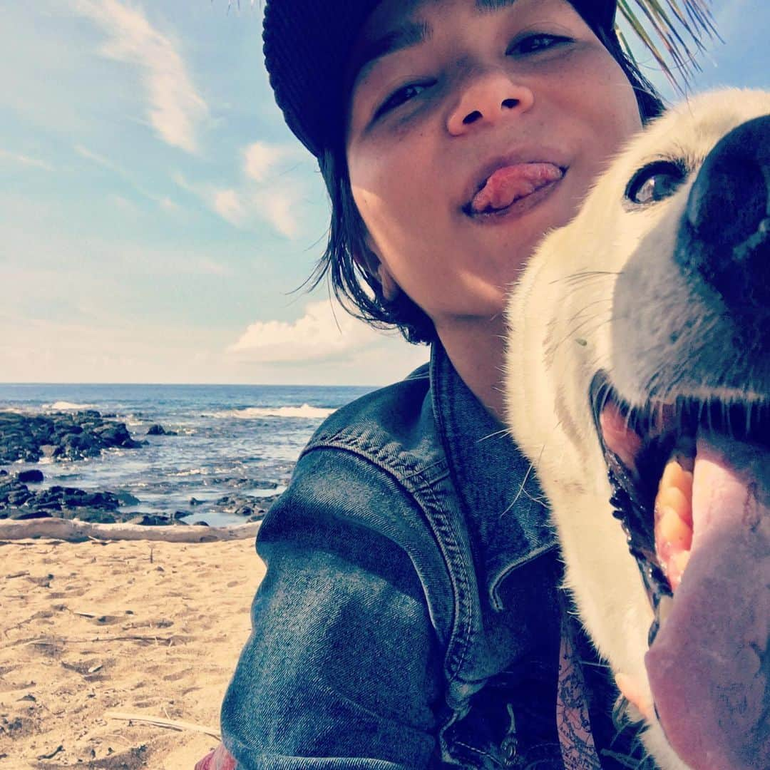 シェリーマリア澄川さんのインスタグラム写真 - (シェリーマリア澄川Instagram)「🐺I’m a silly boy, just like mama 😝 #lifeisgood #doglife #zendoggy」11月22日 5時45分 - cheriaries808