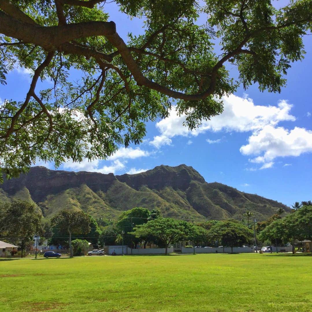 Belle Vie Hawaiiさんのインスタグラム写真 - (Belle Vie HawaiiInstagram)「カピオラニ公園からのダイヤモンドヘッド⛰﻿ ﻿ 夏場は岩肌がむき出しの茶色いダイヤモンドヘッドが﻿ 雨が多くなって緑に覆われてくると﻿ ハワイの冬の到来を感じます🌳﻿ ﻿ ﻿ ﻿ ﻿ ﻿ ﻿ ﻿ ﻿ ﻿ ﻿ ﻿ ﻿ ﻿ ﻿ ﻿ ﻿ ﻿ ﻿ ﻿ ﻿ ﻿ ﻿ #belleviehawaii #hawaii﻿ #waikiki #waikikibeach﻿ #aloha #honolulu﻿ #diamondhead #hilife﻿ #oahuhawaii #oahulife﻿ #hawaiilife #honoluluhawaii﻿ #ハワイ #ベルヴィー﻿ #ハワイ旅行 #ハワイ好き﻿ #ハワイ大好き #アロハ﻿ #ダイヤモンドヘッド﻿ #ハワイ土産 #ハワイ行きたい﻿ #ハワイのお土産 #ハワイアン﻿ #ワイキキ #ワイキキビーチ﻿ #ホノルル #ハワイ生活﻿ #ハワイ好きな人と繋がりたい」11月22日 7時10分 - belleviehawaii