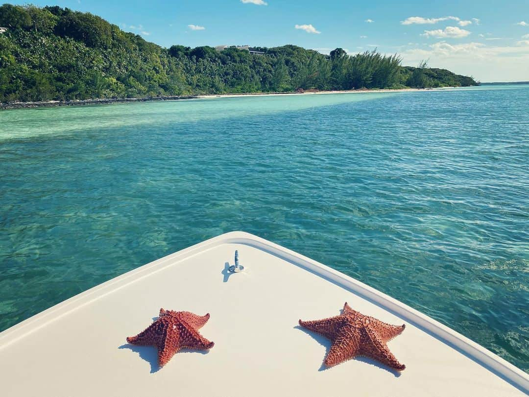 ケリー・ブルックさんのインスタグラム写真 - (ケリー・ブルックInstagram)「Starfish ⭐️⭐️ The starfish will not die from being out of water for the length of time it takes to take a few pictures. You can often see them attached to rocks and pilings during low tide, and they would be out of water for longer than it takes to get a couple of pictures. But they can't stay out of the water indefinitely. We put these straight back 🤩」11月22日 7時56分 - iamkb