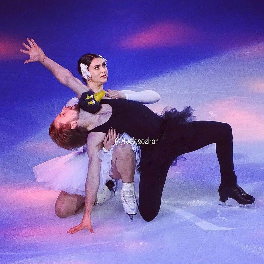 ケイトリン・ホワイエクさんのインスタグラム写真 - (ケイトリン・ホワイエクInstagram)「3rd wheeling with JLB and his 🐧. I think our furry friend needs a name, sound off your ideas below! ⬇️. . . . #hawayekbaker #icedance #iceskating #ice #skating #figure #figureskating #usa #teamusa #athlete #sport #usfigureskating #swanlake #blackswan #whiteswan」11月22日 8時30分 - kait_hawayek