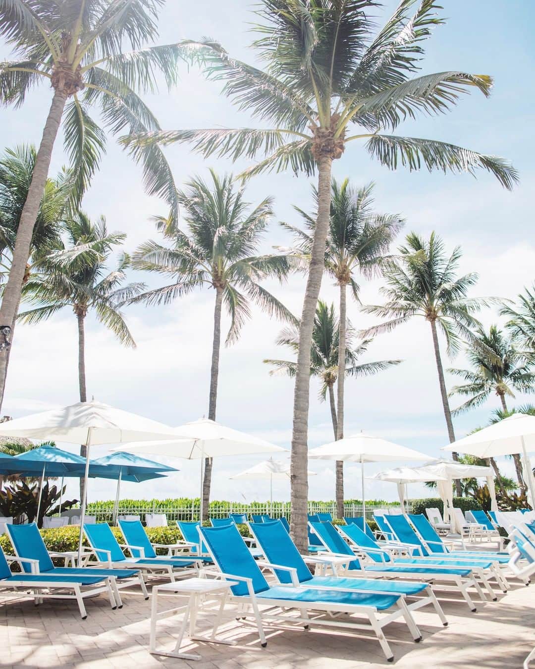 リッツ・カールトンさんのインスタグラム写真 - (リッツ・カールトンInstagram)「Clear your schedule, and find warmer days at The Ritz-Carlton #KeyBiscayne, #Miami. ⁣⁠ ⁣⁠ #Florida #FL #SunshineState #Sunshine #BlueSkies #PalmTrees #Poolside #Relaxing #Vacation #Getaway #Travel #Travelgram #InstaTravel #TravelDiaries」11月22日 9時00分 - ritzcarlton