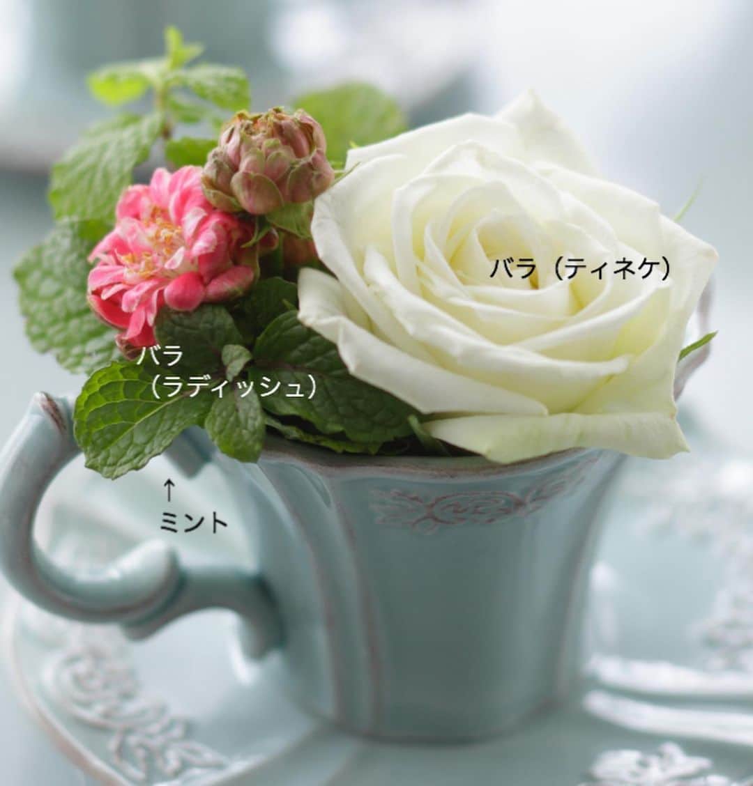 雑誌『花時間』さんのインスタグラム写真 - (雑誌『花時間』Instagram)「おはようございます。白いバラは、お好きですか？  寂しい感じがするから、あんまり…？ 小さな花を合わせると、意外にもかわいく楽しめるんです。2枚めのpicを見て。白バラに合わせた小さなピンクの花もバラ。ラディッシュちゃんです。ティーカップ☕️にさりげなくいけると、お茶の時間のおともにぴったりの愛らしさ。グリーンに選んだのはミント🌿です。ミントはスーパーのものを使えば、飾って、食べて使い残しなし！ ですね〜🌿 では、本日も元気smile😊😊😊で頑張りましょう！ それにしても寒い😨  皆さん、風邪にご注意を🤧 by ピーターパン  花 @hideka_tadenuma 写真 @落合里美  #flowers #flowerslovers #flowerstagram #flowerarrangement  #花時間 #花時間201９ #花好き #花藝 #花好きな人と繋がりたい #花が好きな人と繋がりたい #花のある生活 #花のある暮らし #花を飾る #花を飾る生活  #白い花が好き #バラが好き #白いバラ  #バラのアレンジ  #小さなアレンジ #ティーカップ  #ティータイム☕️ #ミニチュアローズ #花の飾り方  #whiterose  #ミニアレンジ  #botanicallife  #花屋さんへ行こう」11月22日 9時39分 - hanajikan_magazine