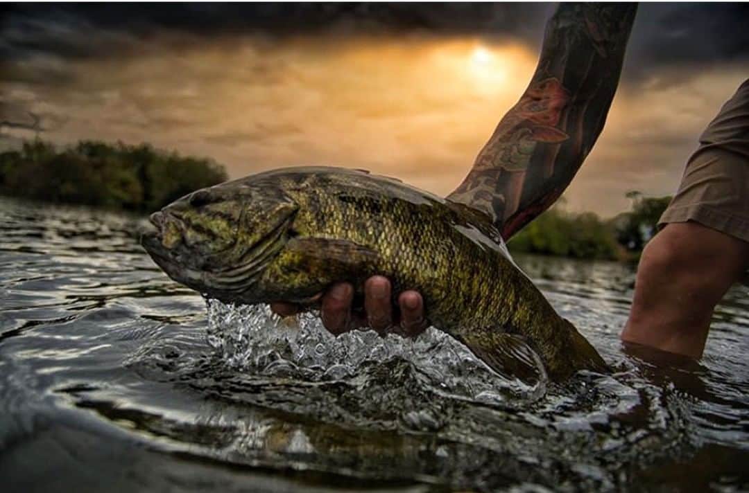 Filthy Anglers™さんのインスタグラム写真 - (Filthy Anglers™Instagram)「Check out this amazing photo pulled in by Team Filthy member Mark @mac_images_ from New Hampshire. Mark specifically targets smallmouth and not only does he capture them, he captures those moments so well. Absolutely love this photo, very well put together with the lighting, angle, etc.  Yes Mark is a photographer, something I would love to get into!  Great photo Mark, really enjoy following your visual adventures, you my friend are Certified Filthy. www.filthyanglers.com #fishing #smallmouthbass#catchandrelease #bassfishing #largemouthbass #getoutside #anglerapproved #outdoors #teamfilthy #lakelife #salmon #trout #bigfish  #filthyanglers #kayak #nature #largemouth #smallmouth #trout #pond #lake #river」11月22日 10時01分 - filthyanglers