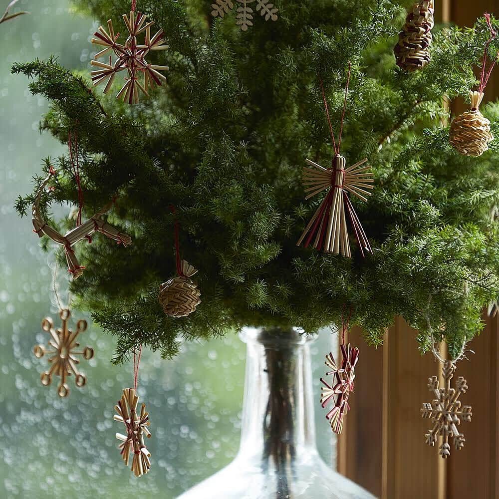 のインスタグラム：「< HOLIDAY MARKET> . DECORATE FOR CHRISTMAS . 大きなクリスマスツリーがなくても、モミの木の枝や針葉樹をベースに挿せばクリスマスツリーに。今年はどんなツリーにしましょうか？ . TODAY‘S SPECIAL 各店では、さまざまなかたちや素材のオーナメント、この時期ならではの伝統的なお菓子、クリスマスの食卓のためのうつわ。ブランケットやルームシューズなどあたたかな冬のアイテムが並びます。 . 詳細はトップURLからご確認ください。 →@cibone_ts . 【会期】 HOLIDAY MARKET 11月8日(金)～12月25日(水) Jiyugaoka/Shibuya/Shinjuku/ONLINE STORE 11月9日(土)～12月25日(水) Hibiya/Kyoto/Kobe *会期最終日は17時までの開催となります。 . #todaysspecial #トゥデイズスペシャル#jiyugaoka #渋谷ヒカリエ #ルミネ新宿 #神戸bal #京都bal #東京ミッドタウン日比谷 #holidaymarket #クリスマスオーナメント #オーナメント #クリスマス飾り」