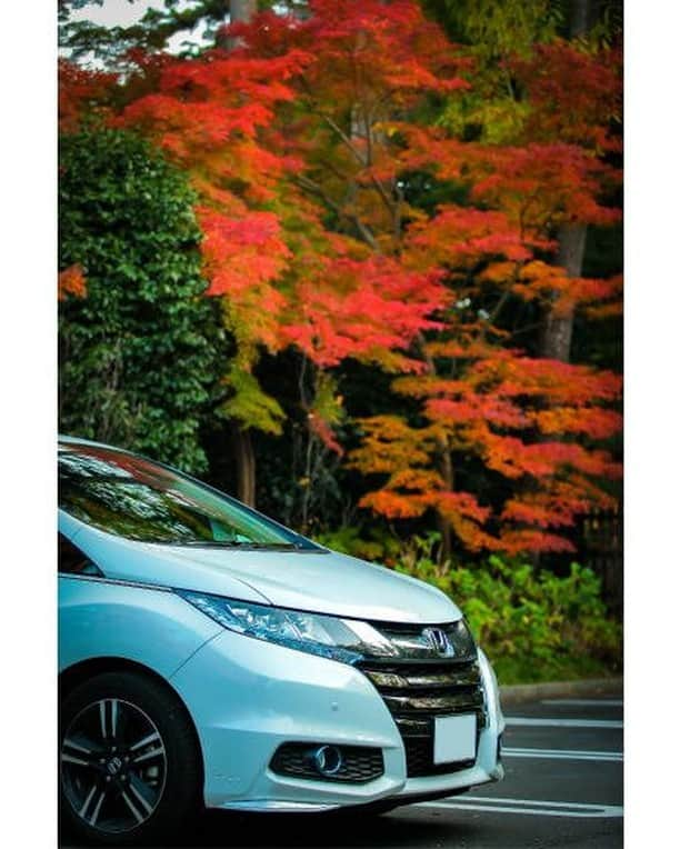 Honda 本田技研工業(株)さんのインスタグラム写真 - (Honda 本田技研工業(株)Instagram)「「秋の訪れ」⠀ Photo by かわはる⠀ .⠀ #写真 #photo #honda #オデッセイ⠀ .⠀ Hondaユーザーズボイスより⠀ .⠀ 本アカウントでは、「 #MeandHonda 」をつけてInstagramに投稿された皆さんのHonda製品を取り入れた素敵な写真もご紹介していきます。たくさんのご投稿をお待ちしております。」11月22日 11時00分 - hondajp