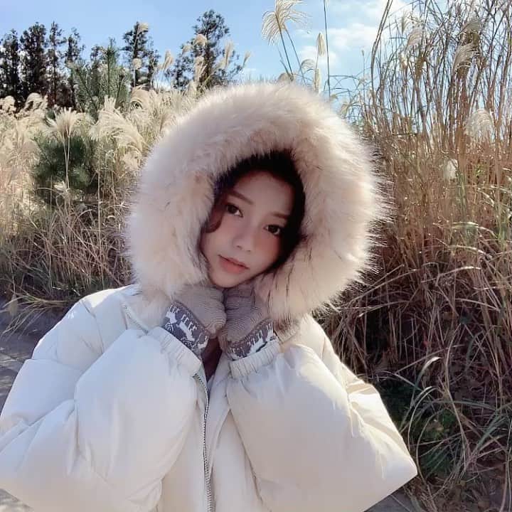 Chuuのインスタグラム：「제주🍊 #chuuseoul」