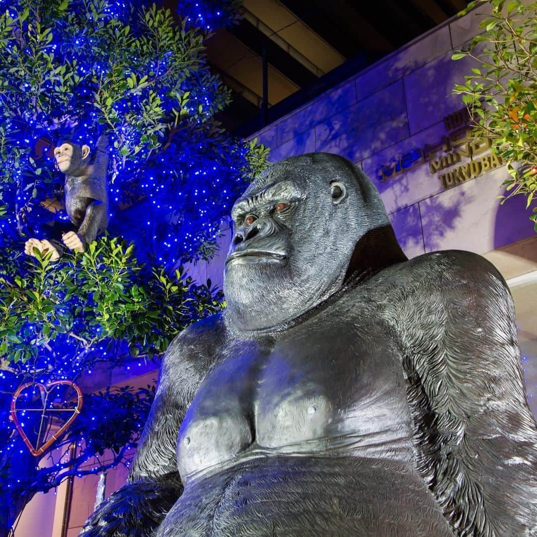 【公式】オーシャンリゾートホテル マホロバ・マインズ三浦のグルメインスタ