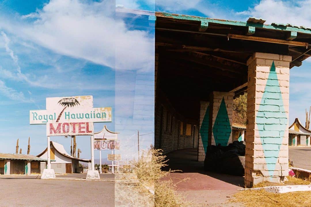 のインスタグラム：「Each room comes with a complimentary lizard」