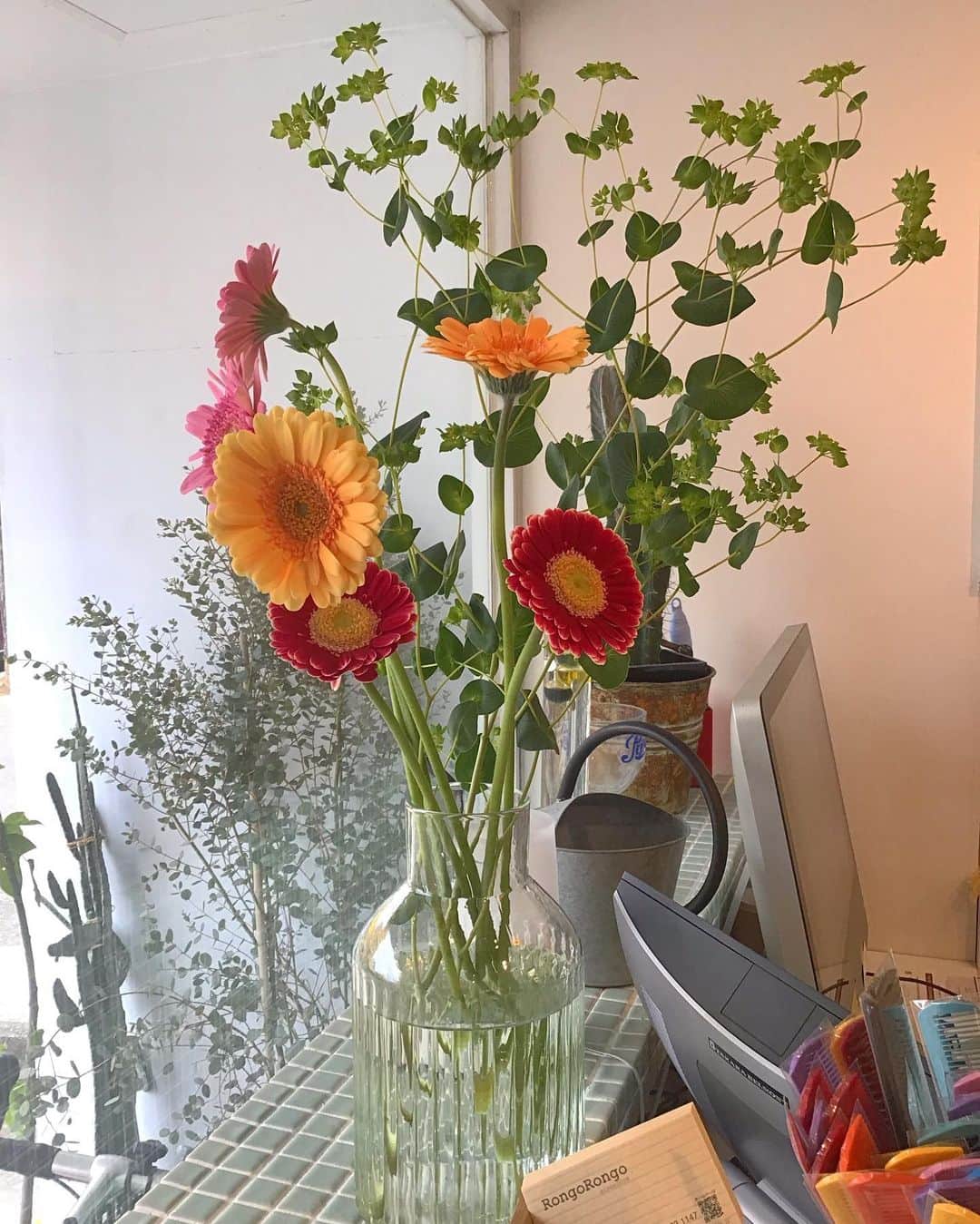 井上花実のインスタグラム：「年末のご予約は徐々に埋まってきております。 12月は一番混み合う時期なのでお早めにご予約ください。 コタのキャンペーンも年末までとなっております。 当日ですと商品の在庫がない場合もございますので、事前のご予約をおすすめしております☺️ ご予約はお電話でのみ受け付けております☎️ RongoRongo. @rongorongo_official ℡ 0954 23 1147」