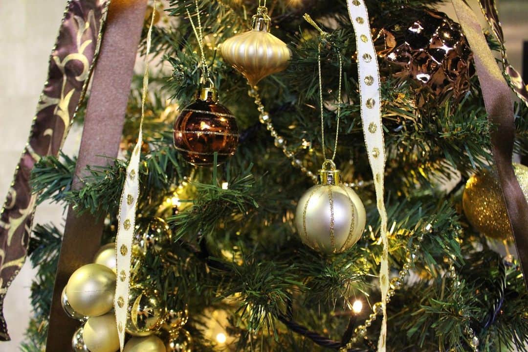 大人の隠れ家 箱根 別邸今宵のインスタグラム：「【クリスマスの準備中】 別邸今宵のラウンジにクリスマスツリーが登場です。 ゴールドをあしらった大人の飾り付け。ツリーの全貌は、ぜひ別邸今宵でご覧ください。皆さまのお越しをお待ちしております。 #クリスマス #別邸今宵 #クリスマスツリー #インスタ映え #フォトジェニック #ゴールド #温泉 #がんばろう箱根 #箱根 #旅行 #旅行好きな人と繋がりたい #旅館 #betteikoyoi #hotel #christmas #christmastrees #gold #present #hakone #likeforlikes #followforfollowback #trip #travel #instagood」