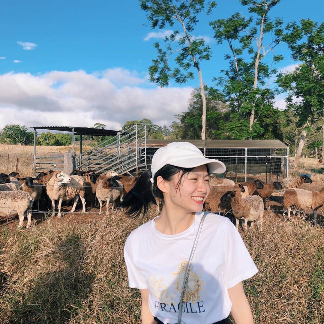 莉子さんのインスタグラム写真 - (莉子Instagram)「羊めーめー　🐏﻿ in Australia ！！！」11月22日 22時14分 - riko_riko1204