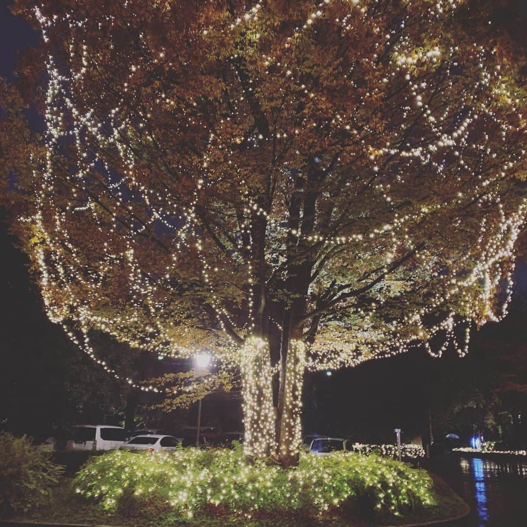 荒木巴さんのインスタグラム写真 - (荒木巴Instagram)「#昭島 #フォレストイン昭和館 様で #マジックショー でした。 ご覧いただいた皆様、ありがとうございました。」11月22日 22時50分 - tomoearaki