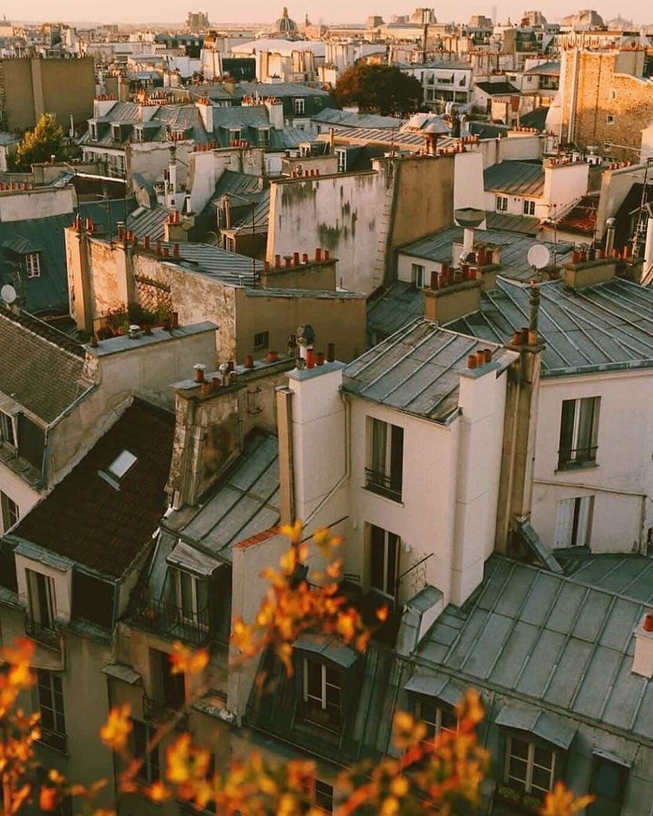 ジャマンピュエッシュのインスタグラム：「Meet the golden hour on a beautiful rooftop」