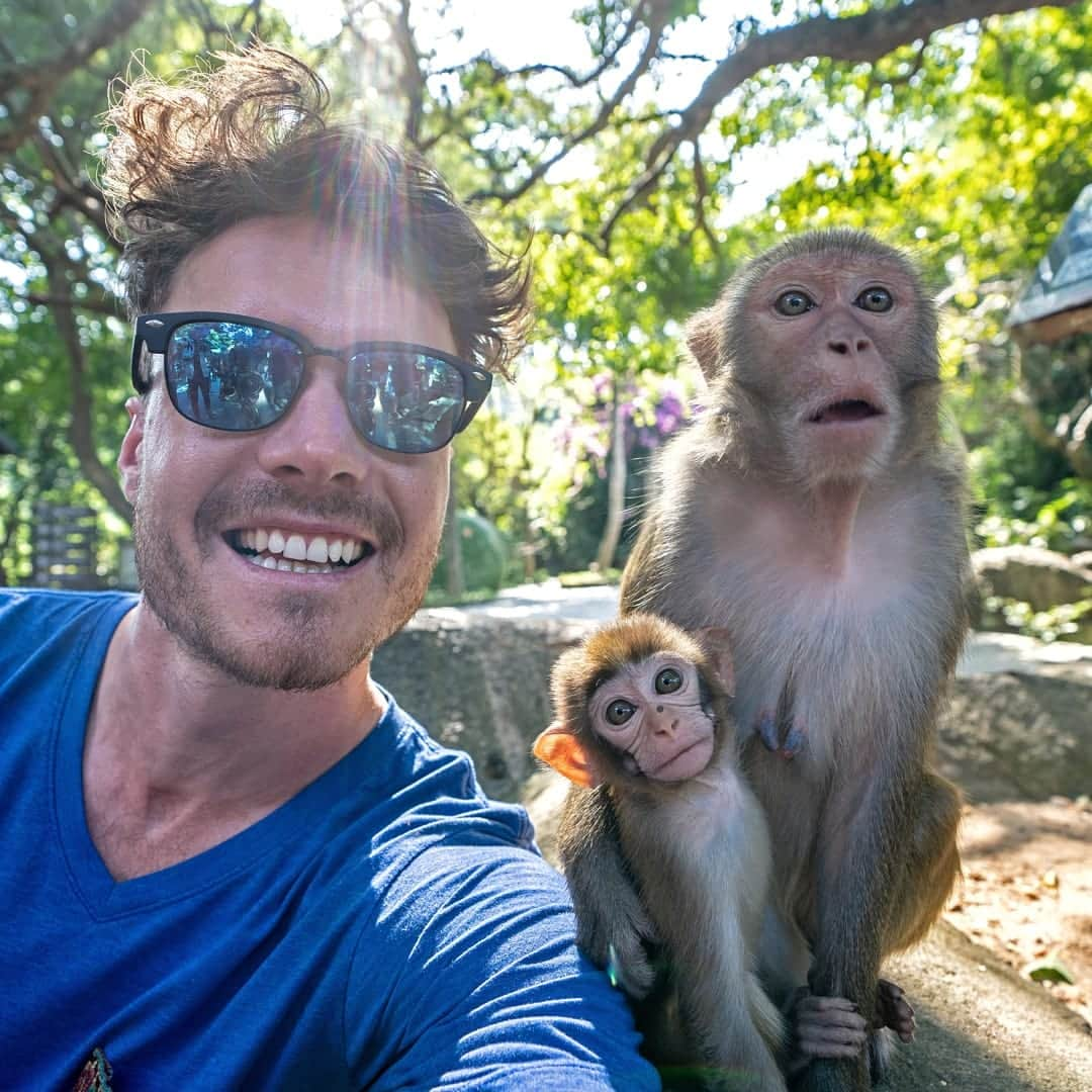 アラン・ディクソンさんのインスタグラム写真 - (アラン・ディクソンInstagram)「Quality family time! 🐒🐵Touring with @hellosanya_official for the next few days. Tropical China invited a group of Instagramers to see what it's like. I said yes because it's a huge unknown tropical island that's part of China (called Hainan). Like it's huge! Google it, never knew before coming here.⁣ ⁣ Not getting paid to talk about them, I just wanted to see some of China with my own eyes, and capture how they mix culture with tourism, nature and wildlife. No real way to describe this experience without coming here yourself. The people are super friendly, it's fun, busy, unique, crowded and empty all at the same time. Follow along on my stories over the next few days 👌 #hellosanya⁣ -⁣ ⁣ #animalselfie #monkeyselfie #wildlife #monkey #animals #monkeys #china #sanya ⁣ ⁣」11月22日 23時17分 - daxon