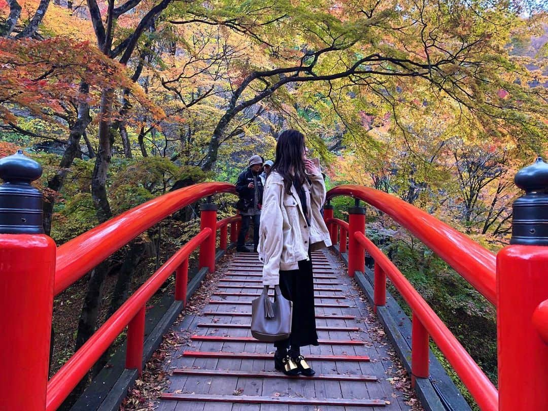 高橋和美さんのインスタグラム写真 - (高橋和美Instagram)「. 伊香保の旅🎨🍁🐈 #ハラミュージアムアーク#加藤泉#群馬#渋川市#伊香保#伊香保温泉石段街#なつかし横丁」11月22日 14時43分 - iam_____k_____