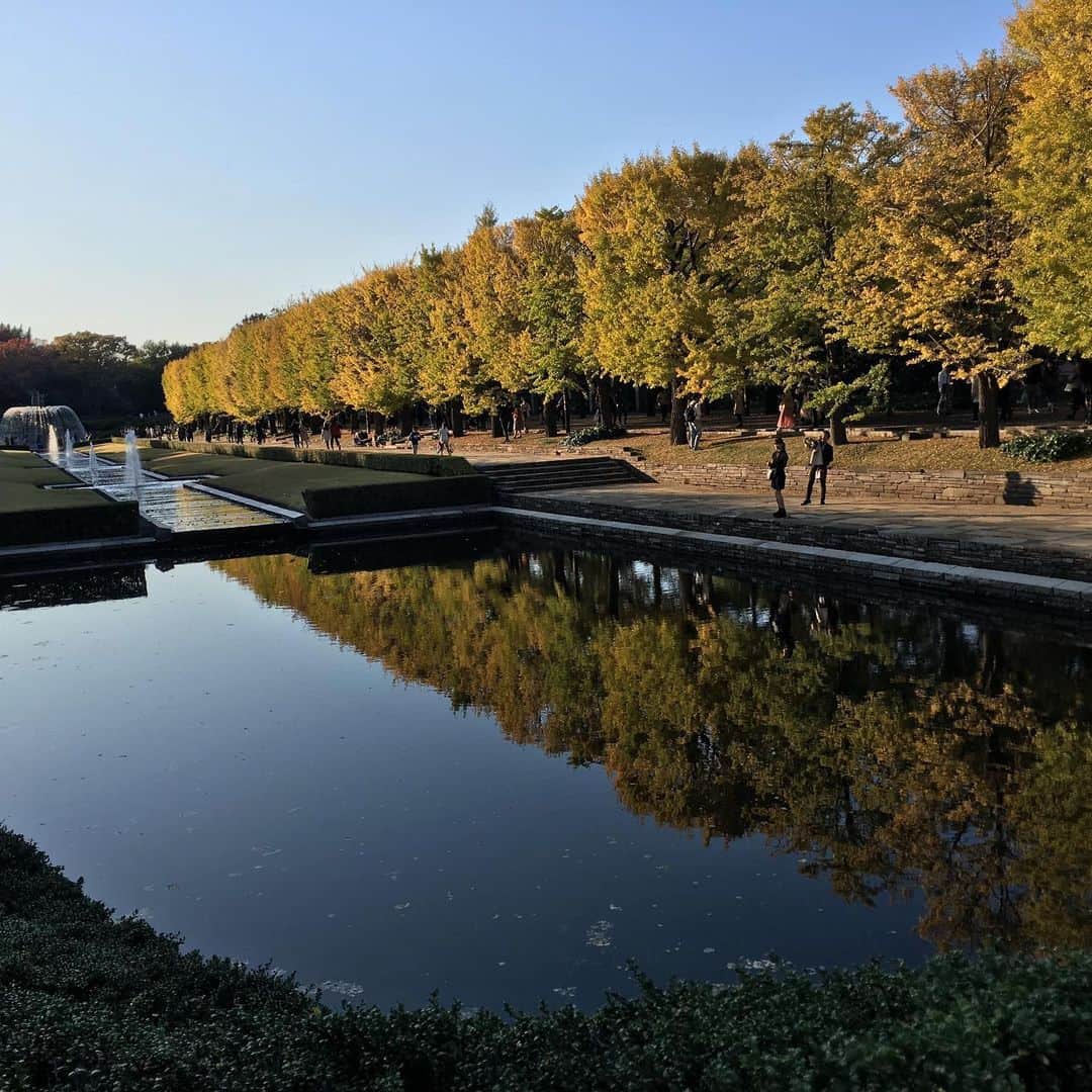 小川永子さんのインスタグラム写真 - (小川永子Instagram)「秋は心躍る季節🍁  昨年は上手く色付かなかったので、ほとんど紅葉取材もキャンセル。。。 プライベートも紅葉狩りに行けずに終わりました。  今年はこの美しいイチョウ並木です。この後の紅葉も期待してしまいますね‼️ 秋の澄んだ青空もあと少しで冬空に変わります。  週末はあいにくのお天気となりますが、来週晴れたら紅葉狩にお出かけしたいと思います🍁  #写真 #アナウンサー #紅葉 #イチョウ並木 #東京写真 #秋空」11月22日 14時51分 - hisak03