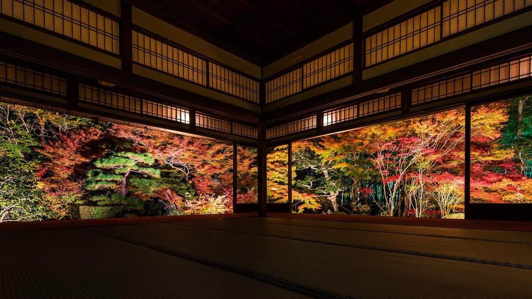 関西電力株式会社さんのインスタグラム写真 - (関西電力株式会社Instagram)「京都市左京区にある、南禅寺の塔頭のひとつ「天授庵」。枯山水と池泉回遊式の庭で紅葉を楽しむことができるのが魅力です。 昼は美しい庭と紅葉を、夜は期間限定のライトアップで美しく灯りに照らされた紅葉を楽しむことができるスポットです。昼と夜で異なる紅葉をお楽しみください。 ※写真は過去に撮影したものです. --------------- ■南禅寺　天授庵ライトアップ 期間：2019年11月15日(金)～30日(土)  時間：17時30分～20時45分（受付終了） 拝観料が必要です。現地でご確認ください。. ■アクセス 京都市営地下鉄東西線「蹴上」駅から徒歩10分ほど --------------- . #ライトアップ #紅葉 #japan_night_view #はなまっぷ紅葉 #日本に京都があってよかった #そうだ京都行こう #京都 #南禅寺  #kyoto#天授庵 #京都散歩 #絶景 #love_bestjapan #unknownjapan #loves_united_japan #カメラのある生活  #日本の風景 #ダレカニミセタイケシキ #bestphoto_japan #art_of_japan_ #貴重な体験 #景色最高 #tripgramjp  #写真は心のシャッター#その旅に物語を#best_moments_shots #日帰り旅行 #お写んぽ#お写ん歩 #インスタスポット」11月22日 14時57分 - kanden.jp