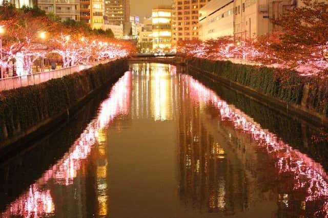 Travel.jp / トラベルjpさんのインスタグラム写真 - (Travel.jp / トラベルjpInstagram)「✈【東京】目黒川で「冬の桜」を堪能！⁠ .⁠ 暗闇の中に浮かび上がる桜色の光はとても幻想的。⁠ 夜のお散歩を楽しもう！⁠ 2020年1月5日（日）までの期間限定開催。⁠ 【写真/すがた もえ子】⁠ .⁠ 詳しい情報は【LINEトラベルjp 冬の桜 目黒川】で検索❤️⁠ .⁠ #LTJ47イルミ #旅行 #旅行好き #旅行好きな人と繋がりたい #トラベラー #女子旅 #女子旅行 #国内旅行 #海外旅行 #インスタ映え #トラベル #トリップ #絶景 #カメラ女子 #カメラ男子 #ダレカニミセタイケシキ #LINEトラベルjp #時短トラベル #東京 #東京イルミ #イルミ #イルミネーション #目黒川 #東京観光」11月22日 15時00分 - travel.jp