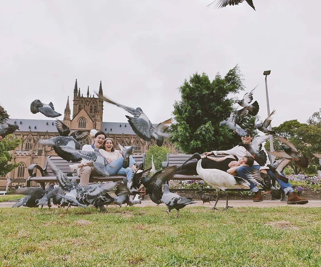 アン・カーティスのインスタグラム：「One of the things I love and miss about Australia - getting to just laze around on a bench in a park ❤️ Also pretty stoked to watch @u2 tonight. . . Hoping the bushfires subside soon.. seeing all the suffering koalas and wildlife burning on the news is so sad. There’s a constant haze over Sydney atm too🙏🏼💔」