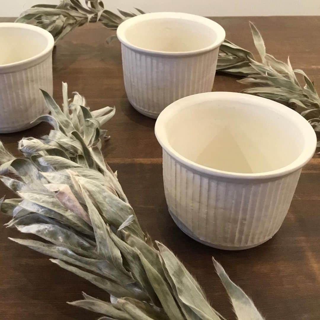 のインスタグラム：「【 ceramic  studio blank 堀家久美子個展『fo(u)r elements』開催中！@手紙舎鎌倉店 】﻿ ﻿ ただいま手紙舎鎌倉店では、逗子在住の陶磁器作家・堀家久美子さんの個展を開催しております。一気に気温が下がり冬めいてまいりました。たっぷり温かいスープにピッタリのスープボウルや、長い夜を楽しむお供にお猪口・寒い冬も家の中をグリーンで彩る花器。皆さまの暮らしに寄り添う様々な器をご用意してお待ちしております。手仕事の温もりある器は、ギフトにもおすすめです。﻿ ﻿ 会期 : 2019年11月14日(木)〜12月2日(月)﻿ 会場 : 手紙舎鎌倉店(神奈川県鎌倉市長谷2-5-41)﻿ tel : 0467-38-5035﻿ 営業時間 : 11:00〜18:00(火・水曜日定休)﻿ ﻿ #手紙社#手紙舎#手紙舎鎌倉店#鎌倉#kamakura#ceramicstudioblank#堀家久美子#陶磁器#陶器#磁器#スープボウル#お猪口#花器工藝汀」