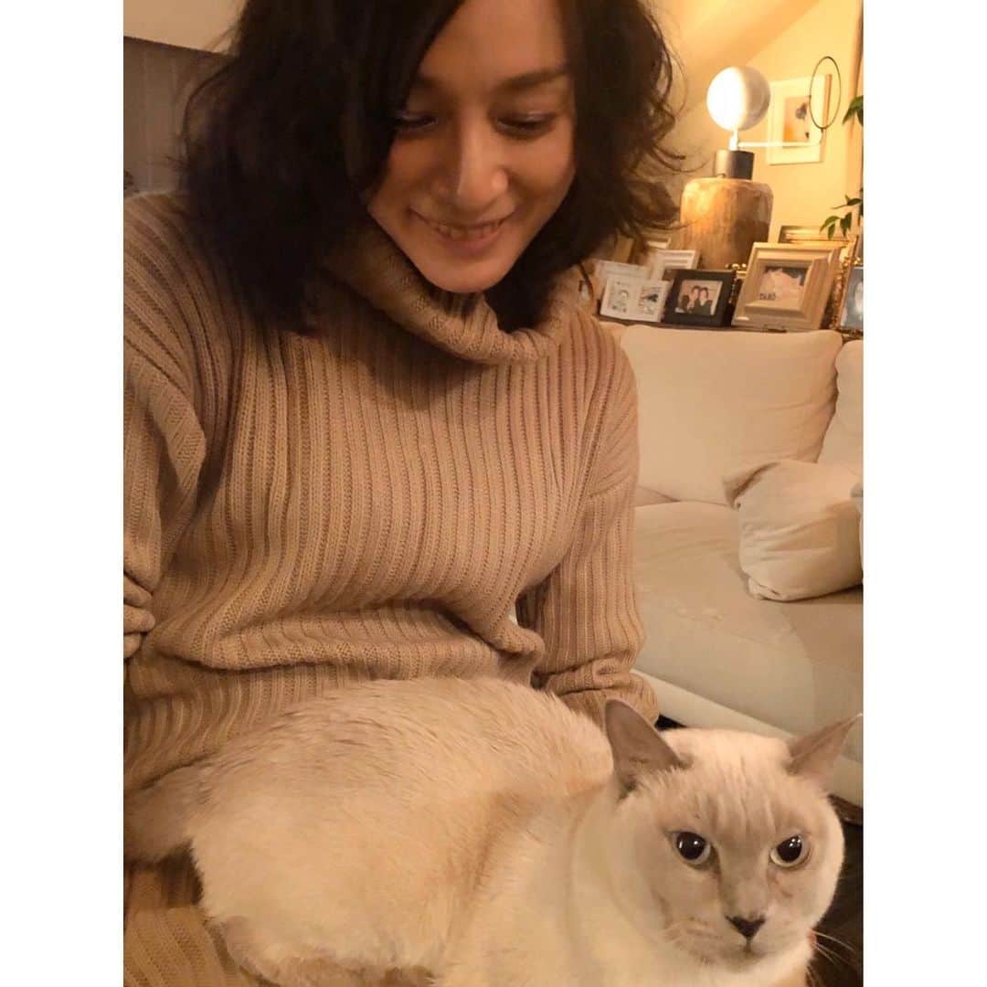 竹中友紀子のインスタグラム：「#ゆかりさんちのタロにゃん お膝にタロにゃん❤️美猫 光栄なことに割烹ギ吉野にお招きいただき、ゆかりさんの愛のいっぱい詰まった優しいごはんでお腹いっぱい^ ^ 写真は食後のくつろぎタイム。 お腹も心も満たされました〜」