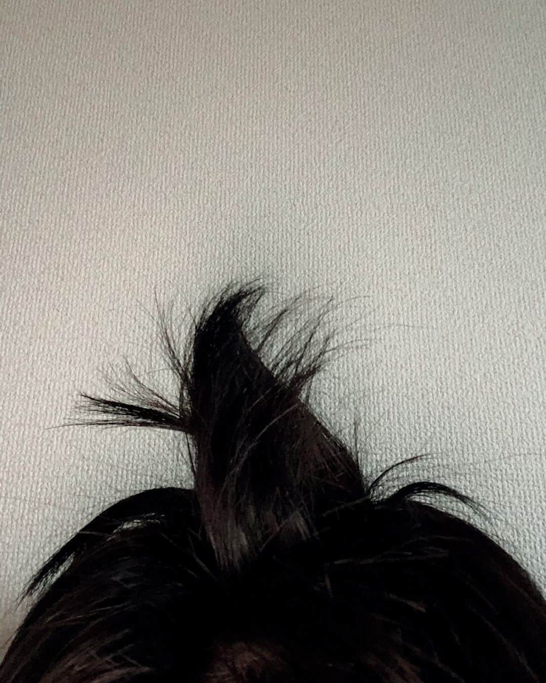 瀬戸利樹さんのインスタグラム写真 - (瀬戸利樹Instagram)「そういえばまた髪型が芸術だ、、、！ Come to think of it, it was art again in the morning...! #morning #hair #TSUTAYAです」11月22日 16時46分 - toshiki_seto_official