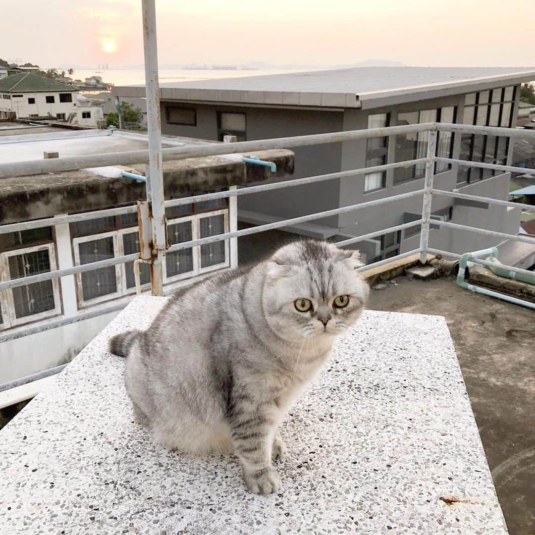 のインスタグラム：「Roof top sunset. Best seat in the house!」