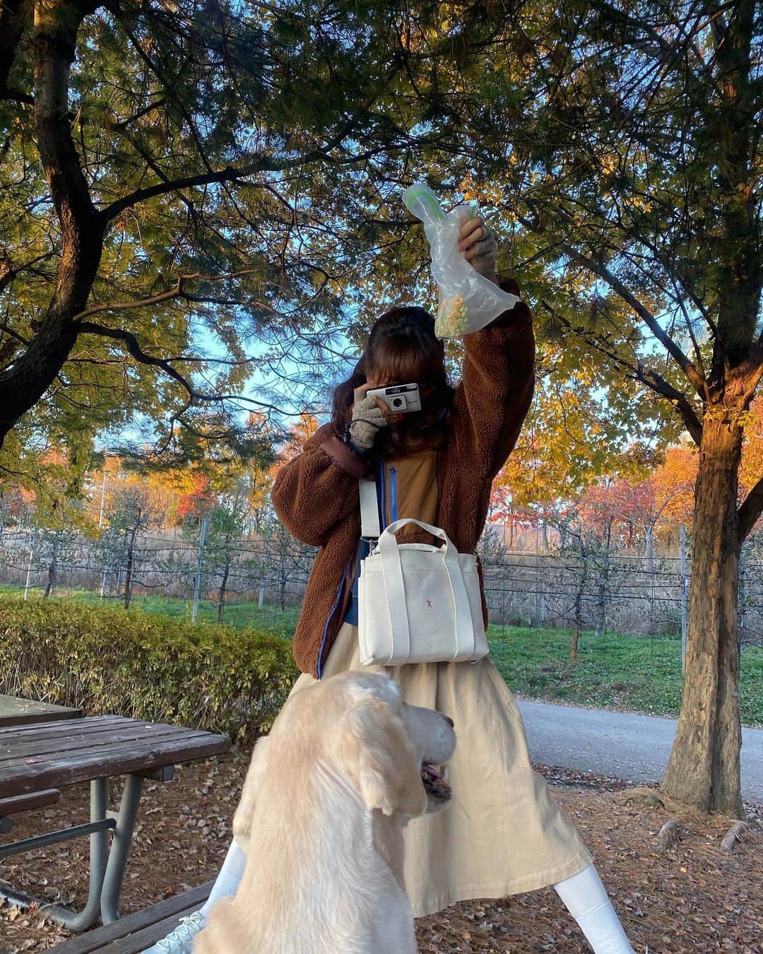 ウォン・ジナのインスタグラム：「해랑아 여기 보세요~🐕」