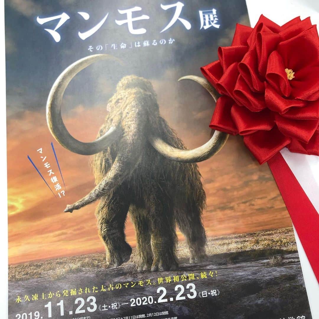 いとうせいこうのインスタグラム：「福岡市科学館で始まる『マンモス展』の内覧会挨拶に来てます。監修トリオ（野尻湖ナウマンゾウ博物館近藤館長、近大生命理工学部松本大学院部長と共に）で話してると刺激的！」