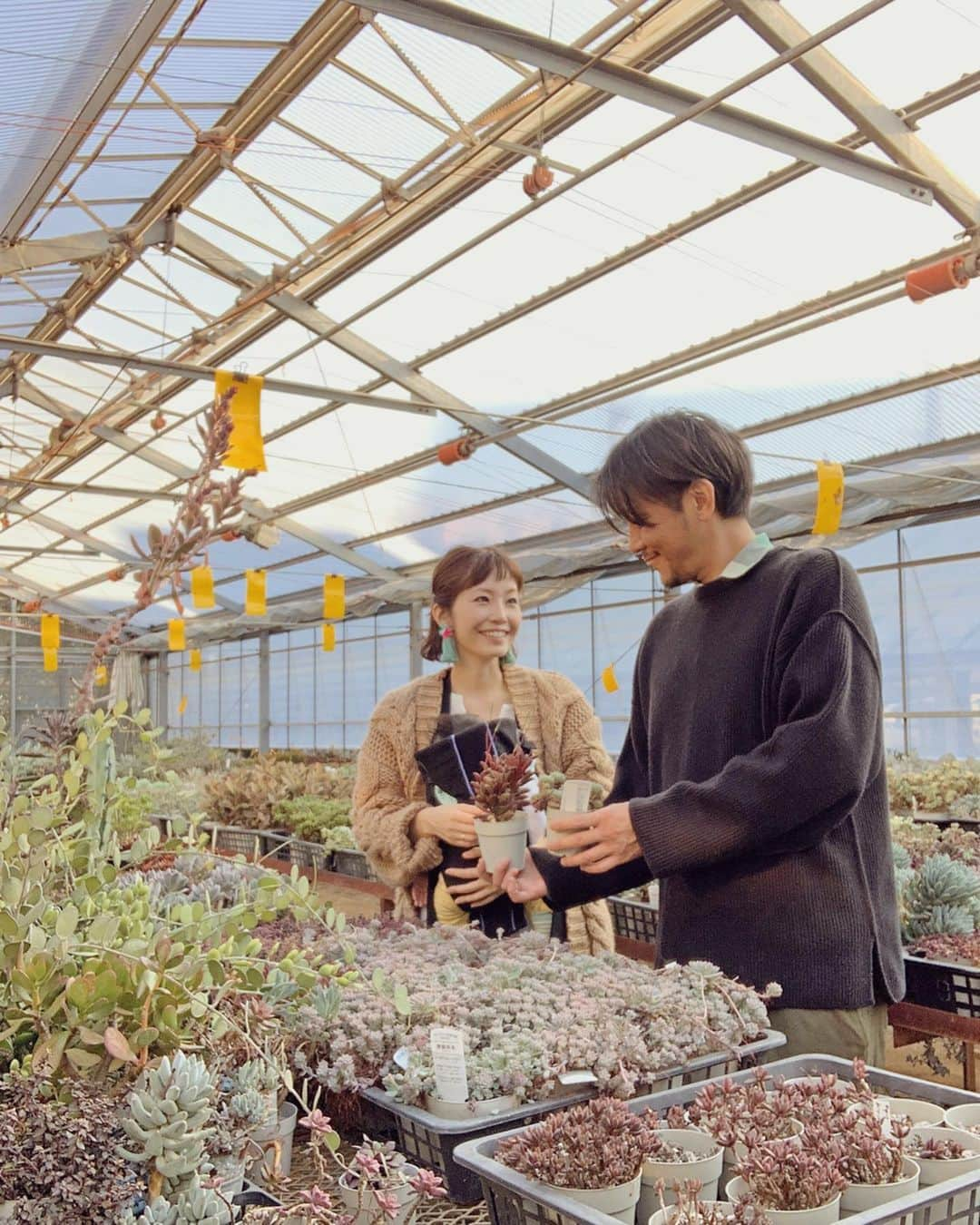 むらたさきさんのインスタグラム写真 - (むらたさきInstagram)「🌵🌵 ． 母の日、誕生日、結婚記念日などのお祝いに いつもお花を贈ってくれる夫🙋‍♂️💐 ． 兄ちゃんズと出かけたときに 可愛い植木屋さんを見つけたから今度行こう☺️！と誘ってくれて、 先日の休みに行ってきました〜🐶🐶🚙 ． 多肉パラダイス🎊🤤🌵 ． ． それぞれ好きな植物を選んだので、 わたしから夫へはちょこっとメッセージを添えて🙌😉💌 いい夫婦の日やしね〜🙈💘 (2枚目) ． ． ． ． 普段、朝の1時間くらいしか会えないので、 最近は夫婦でスケジュール管理できるTimeTreeを使って 休日の予定を決めたり、 保育園の送迎時の連絡事項をやりとりしとる🏃‍♂️🏃‍♀️💫 ． LINEやメールなどでは あれ？いつ送ったっけ？？とやりとりの中に埋もれてしまったり、 遡るのも時間がかかったりするけれど、 TimeTreeの中ではスムーズに意見を共有出来て 夫婦で休日を朝からたっぷり楽しめました🙌🥰🌿 ． ． 週に1度の休みは せっかくなら家族で過ごしたいので 夫婦2人の時間を持つ機会はほぼなくなって来たけれど、 ． 楽しいも、うれしいも、しんどいも、 気持ちはいつでも共有し合っていきたいなぁ🥰🤝🥰♡ ． ． ． ． ． ． ． ． #生後2ヶ月 #三兄弟 の三男👶 #夫婦 #タイムツリーはじめました　 #TimeTree#pr @timetreeapp」11月22日 17時22分 - muratasaki