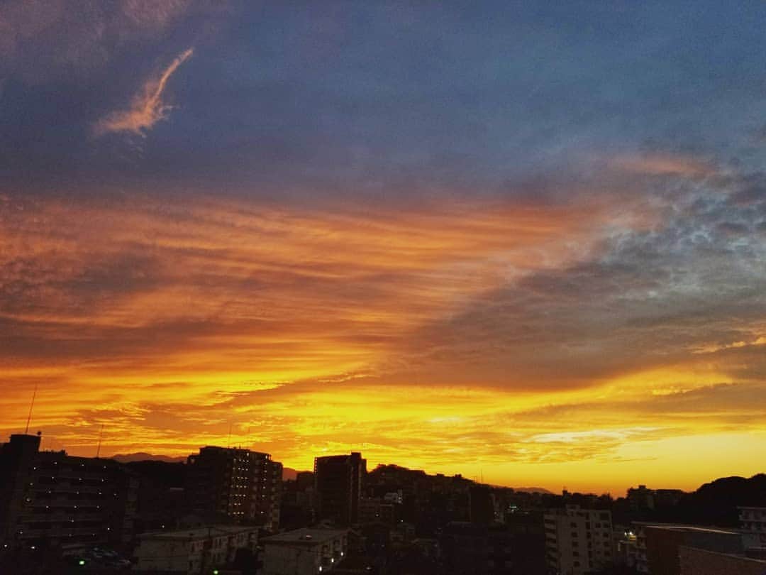 のインスタグラム：「. 今日も夕焼けの空が美しい✨ 鳥が羽ばたいているよう。 部屋の窓から見える景色も artの様でお気に入り💓 . 今宵は、 美味しいものを食べに…🍴 . .」