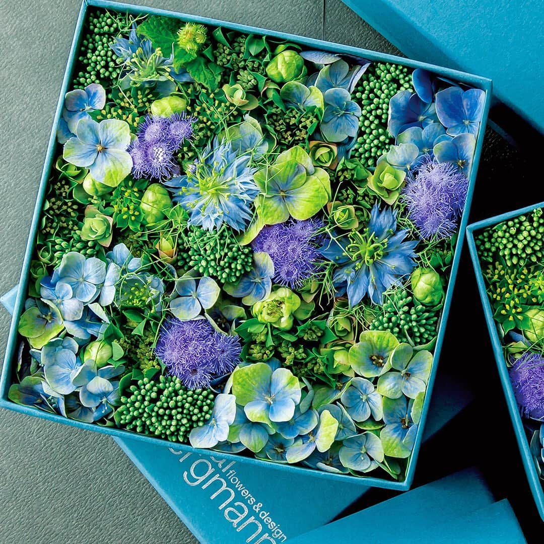 インプレスブックスさんのインスタグラム写真 - (インプレスブックスInstagram)「2020年を迎えるホリデーシーズンの贈り物にぴったりなカレンダー。 ニコライ バーグマン自身がデザインした華やかで特別なフラワーボックスの世界をお楽しみください。  #nicolaibergmann #flowerbox #collaboration #calendar #ニコライバーグマン #フラワーボックス #カレンダー」11月22日 17時53分 - impressbooks