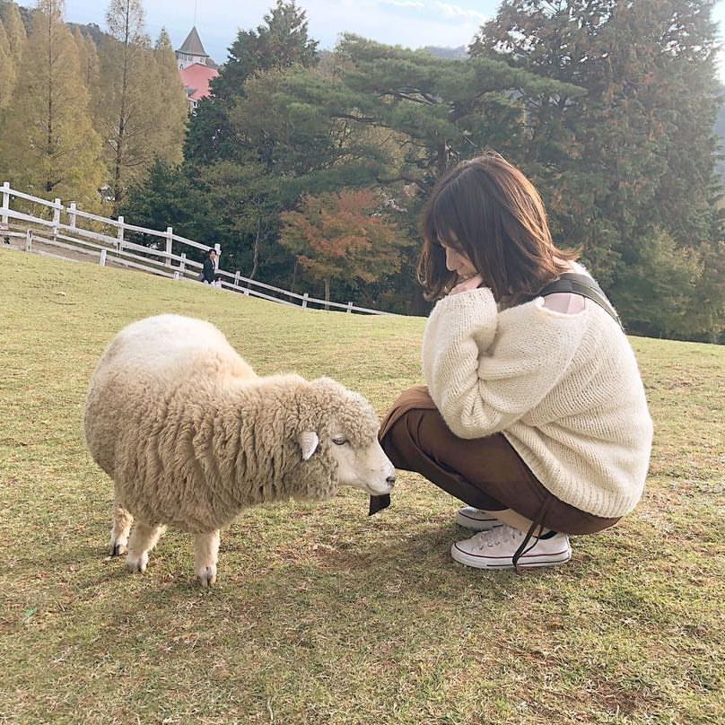 MERYさんのインスタグラム写真 - (MERYInstagram)「. 癒やしを求めに『牧場』へ。羊やヤギ、牛、ミニブタ、アヒルなど様々な動物にニコニコしちゃうはず♪ ベージュやブラウンなどの色味のコーデにして、羊と一緒に写真を撮るとこんなに可愛い仕上がりになりますよ♡ 兵庫県にある『六甲山牧場（ろっこうざんぼくじょう）』や千葉県の『マザー牧場』など全国には牧場がたくさん。近くの牧場を探してみて♡ . MERYでは他にも「かわいい」に近づくさまざまな情報を発信しています。 @mery.beauty コスメ・美容に特化した情報をお届け♡ @mery_spot 話題のカフェやお出かけスポットをご紹介！ こちらもぜひチェックしてみてください！ . . photo by @daesung0830 . #MERY #regram #instagram #photogenic #instagenic #instagood #instalike #sheep #japan #ranch #양 #목장 #동물 #デート #デートスポット #牧場デート #消えそうな色コーデ #癒やし #牧場 #六甲山牧場 #ベージュ #ベージュコーデ #ブラウンコーデ #羊 #神戸 #兵庫県 #六甲 #動物 #MERY女子 #メリー」11月22日 18時01分 - mery.jp