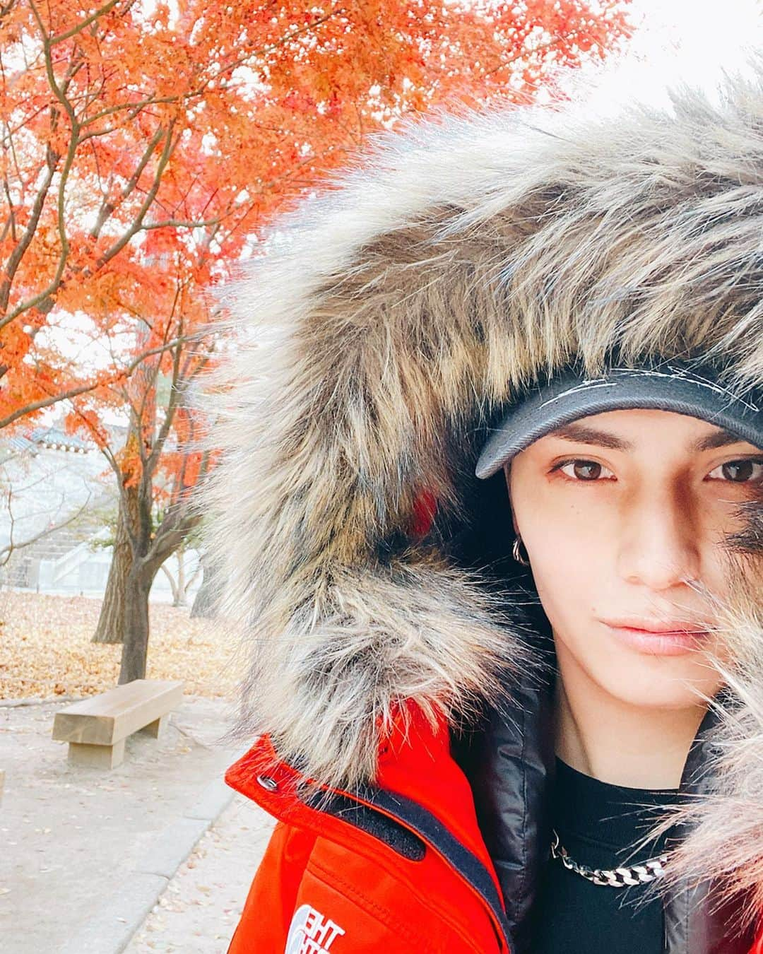 バンダリ亜砂也さんのインスタグラム写真 - (バンダリ亜砂也Instagram)「・ ・ ・ 🍁紅葉🍁 ・ ・ #初 #海外紅葉 #韓国 #紅葉 #もう結構散ってた #秋の終わり #冬の始まり　 #スノボ行きたい」11月22日 18時08分 - asaya.0223