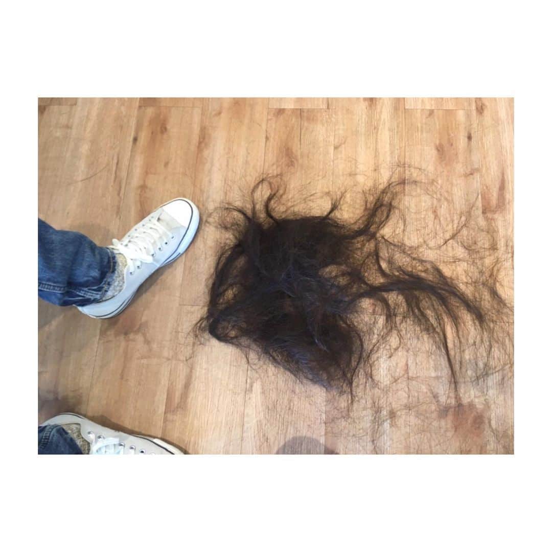 二見夕貴さんのインスタグラム写真 - (二見夕貴Instagram)「. 丁寧に育てあげたLong hairを どっさりカット…！✂︎✂︎✂︎ . . . 切りたい！と思うのが 割と限界来てる時が多くて、 そんな時に限って予定が組めなかったり。 ようやくというタイミングで 切ったらこんもり。😂 ☞swipe ウィッグが作れそうですが ☞☞swipe . こんなに切ってもLongなり\( ⍢ )/じゃじゃーん! . . ばっさり短くしたと見せかけて、 ほぼ量を減らすカット。笑 4〜5cm切ったけどね☺︎ . なんでこんな量多いのか。😂 毛深くないのにほんと謎。笑 無い物ねだりだけど ぺたんこヘアーあこがれる。🥺 . #longhair #haircutting #japanesehair  #ロングヘア #ヘアカット #毛量多め  #ばっさりカット #コンプレックス」11月22日 23時52分 - yyyuki___