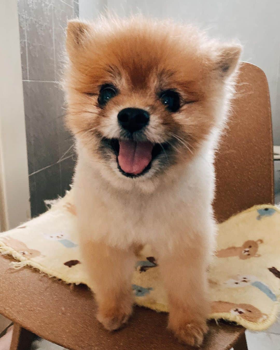 r_oseさんのインスタグラム写真 - (r_oseInstagram)「After I spend one hour with my mom. She turns me 🦁➡️🐻〰️ #iloveyou #happyface #munich」11月22日 18時31分 - r_ose