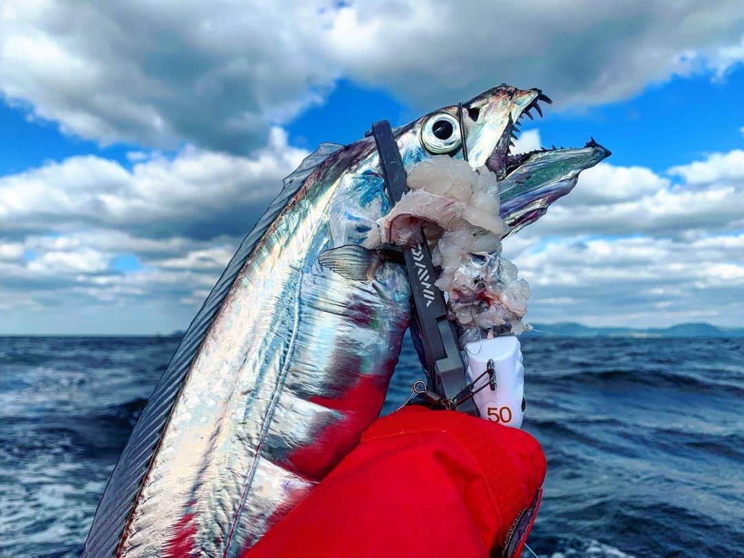 のインスタグラム：「タチウオってかっこいいね！ . #fish #fishing #oita #kyushu #sea  #釣り #タチウオ #タチウオテンヤ #魚」