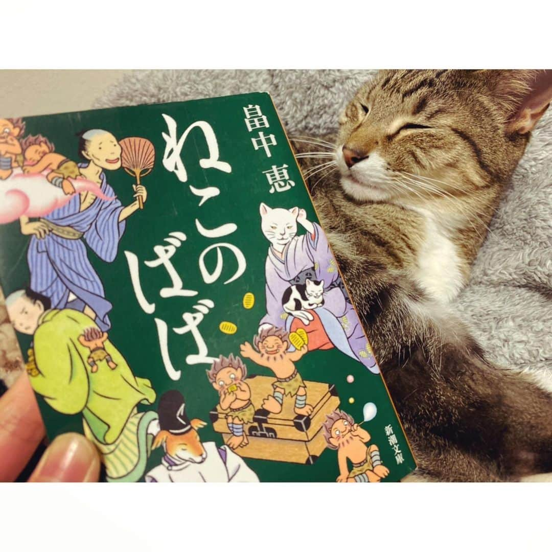 高木沙織さんのインスタグラム写真 - (高木沙織Instagram)「私の神様💫 畠中恵様。 * 江戸時代のちょっと不思議な話し。 『しゃばけ』シリーズが止まりません。 『明治•妖モダン』も最高でした。 頭の中で妄想が広がります。 物語から戻りたくなくなる。 原稿を書く時間も好きだけど、本を読む時間はもっと好きで1日中活字と向き合っている気がします。 頭の中がパツパツだけど幸せ。 雨で寒い夜は家でゆっくり過ごすのがいい☔️ 小虎も一緒に。 * #読書 #読書記録  #読書の秋  #しゃばけ #しゃばけシリーズ  #明治妖モダン #畠中恵 さん #本が好き #家時間 #家時間を楽しむ  #ジョーマローン #猫 #猫部 #ねこすたぐらむ #猫がいる生活  #book #reading #favorite #cat #catstagram #jomalone  #candle」11月22日 19時10分 - saori_takagi