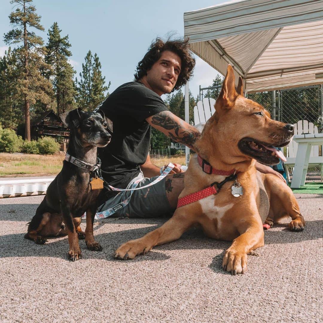タイラー・ポジーのインスタグラム：「My best friends. Humans, animals, plants, whatever, we all want love」