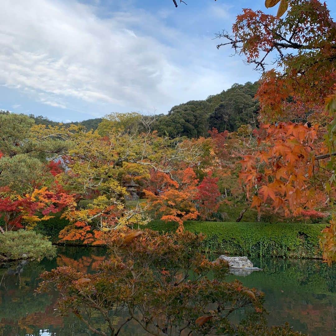 藤原さくらさんのインスタグラム写真 - (藤原さくらInstagram)「あしたから 京都、おおさかとツアーですが、 先日、京都と滋賀には 家族で旅行にも行きました！ あーーーたのしかったよーーー  ものすごく紅葉が綺麗だったーー またいけるんだーーー  あと髪切りました 楽です」11月22日 19時54分 - mammothsakura