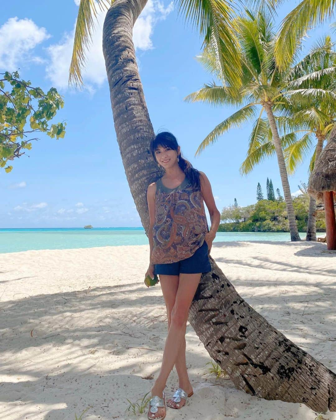 山田佳子さんのインスタグラム写真 - (山田佳子Instagram)「いきなり若いヤシの実が落ちてきた！🌴😆﻿ 頭に落ちなくてよかった〜😂😂😂﻿ ﻿ ﻿ #椰子の木🌴﻿ #ヤシの実🥥﻿ #青い海﻿ #最高﻿ #自然﻿ #iledespan﻿ #lemeridien﻿ #newcaledonia﻿ #天国に一番近い島﻿ #山田佳子﻿」11月22日 20時11分 - yoshiko117